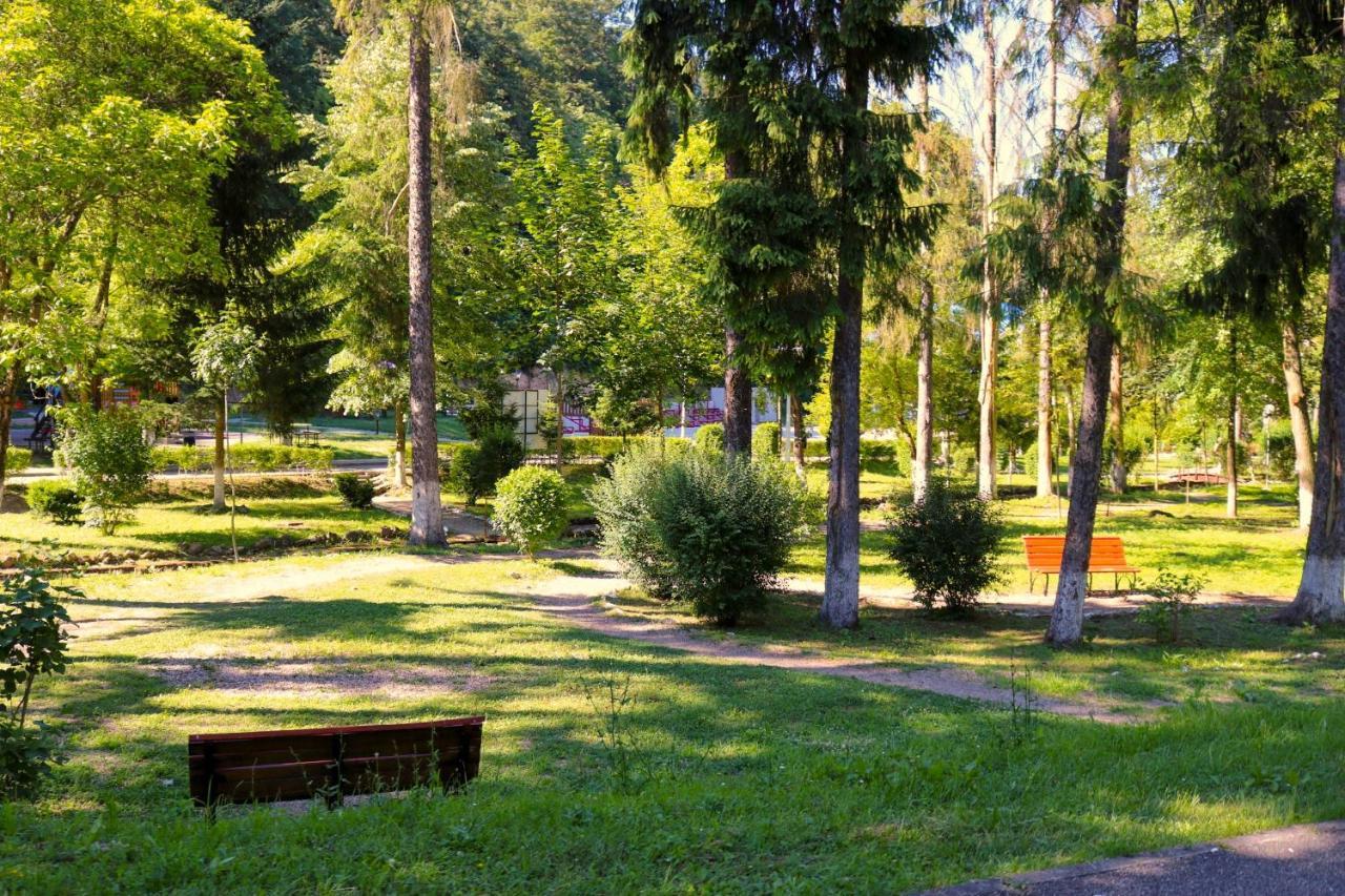 Apartament Iulia Geoagiu Băi Extérieur photo