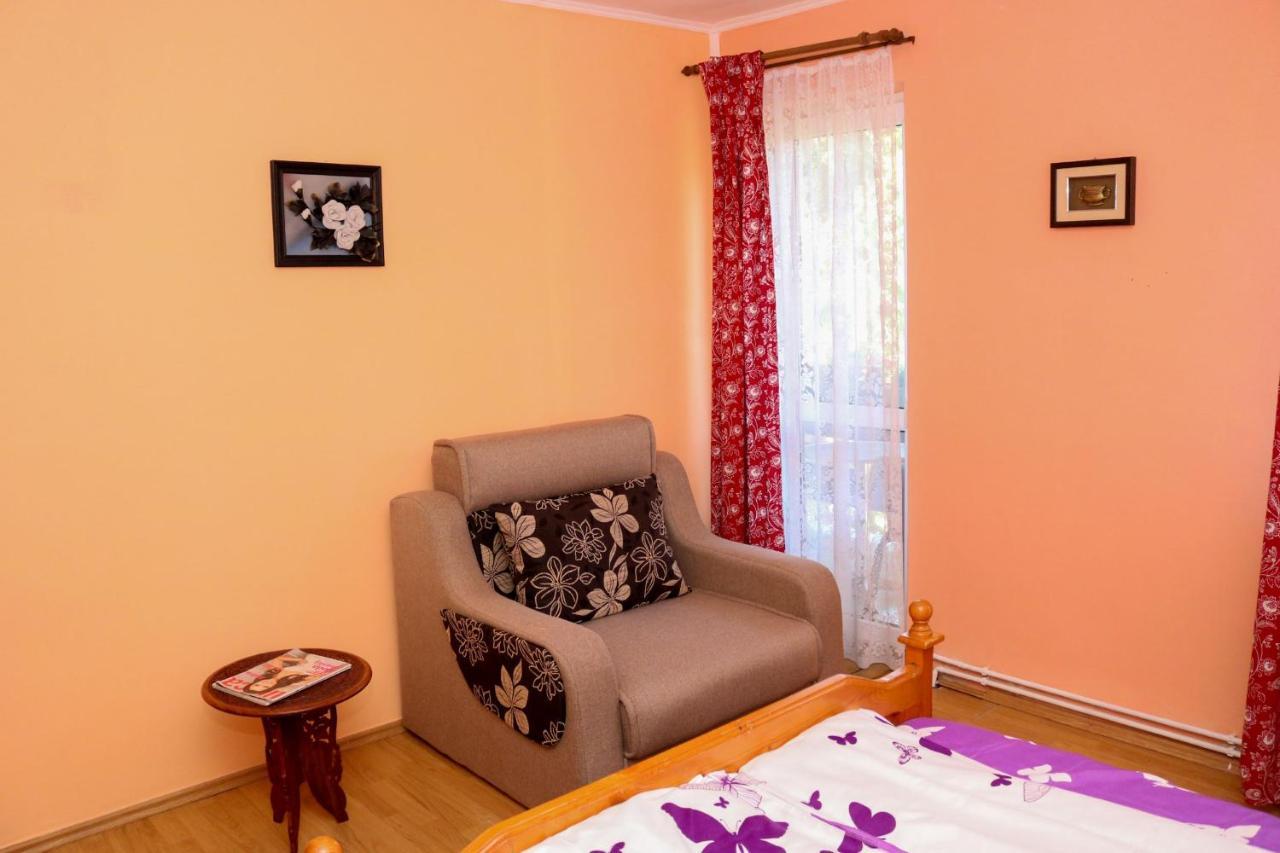 Apartament Iulia Geoagiu Băi Extérieur photo