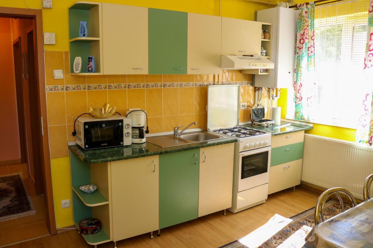 Apartament Iulia Geoagiu Băi Extérieur photo
